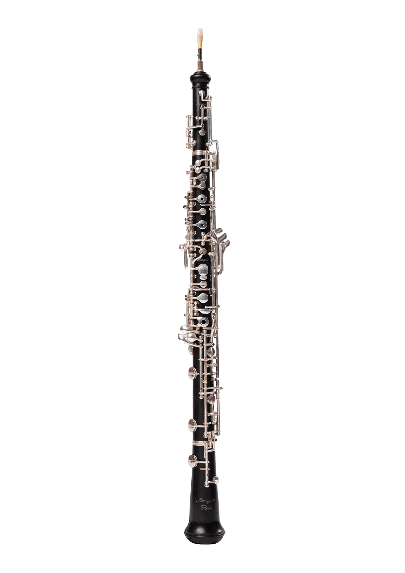 Osesp | Orquestra | Natan Albuquerque